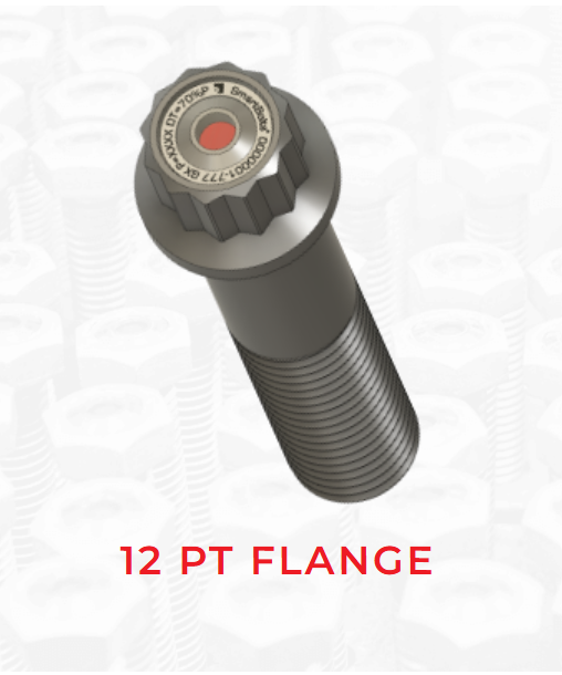 12- Point Flange